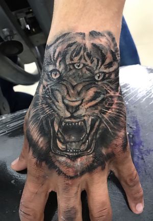 Cover up Inter soul TattooCelaya gto Mx Tiger