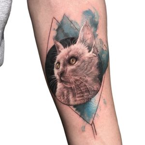 Realistic cat tattooArtist : Çağdaş Mutlu