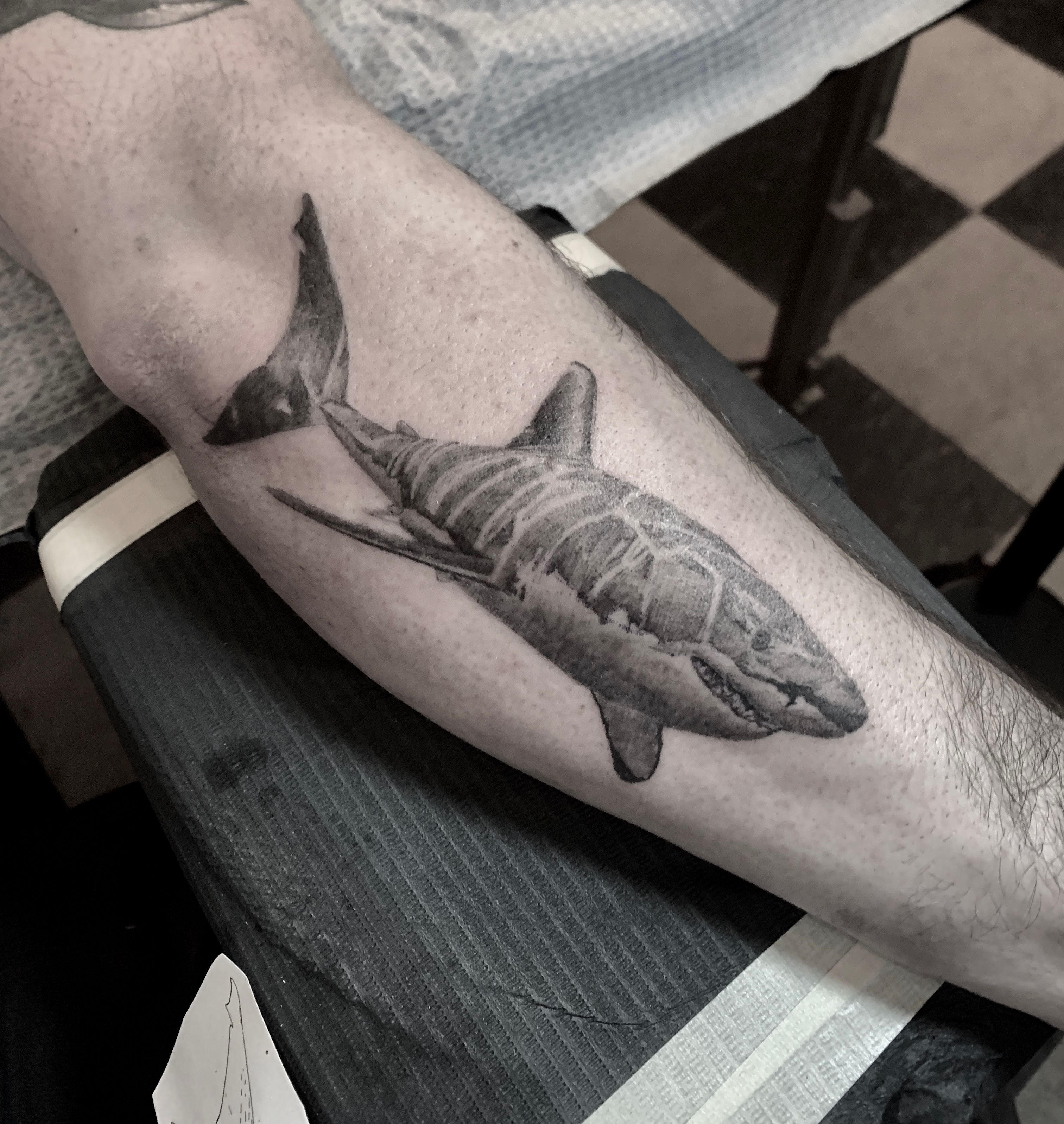 Grey tiger shark for Lizzie 🦈 thank you for the trust ✨ Done at  @kaleidoscopetattoostudio #tigershark #tigersharks #sharktattoo #... |  Instagram