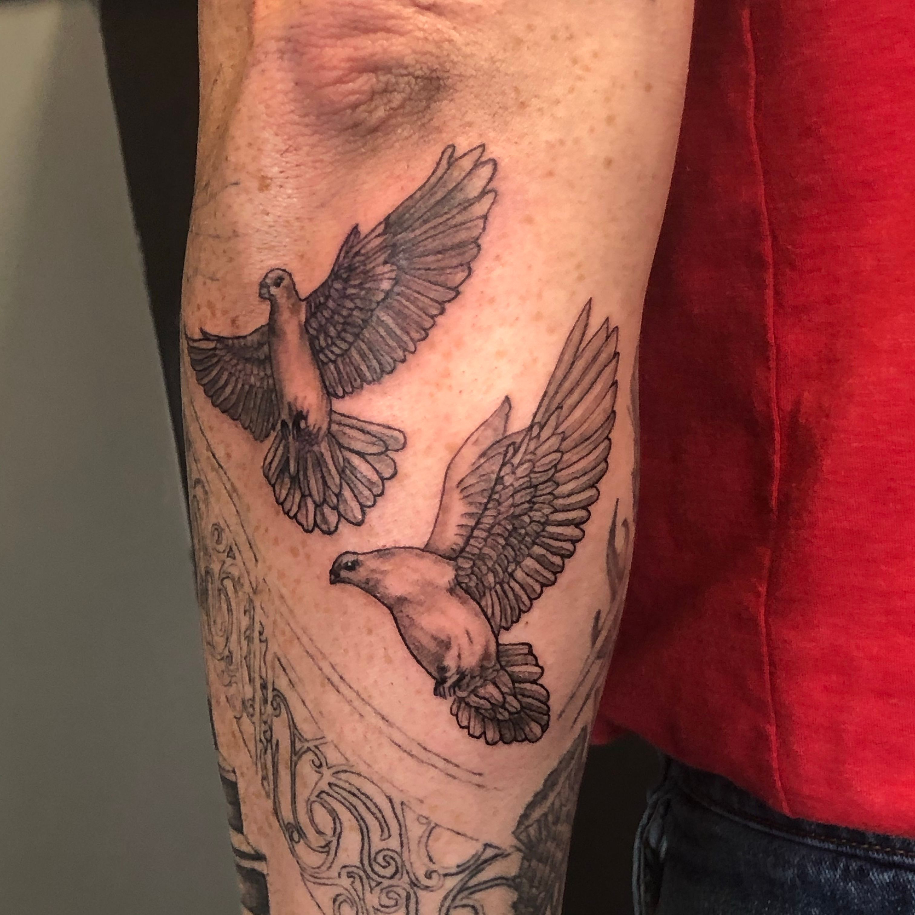 Dove and Crow by SlicedPaperTigers on DeviantArt  Эскиз татуировки с  черепом Татуировки с голубем Дизайн татуировки волка