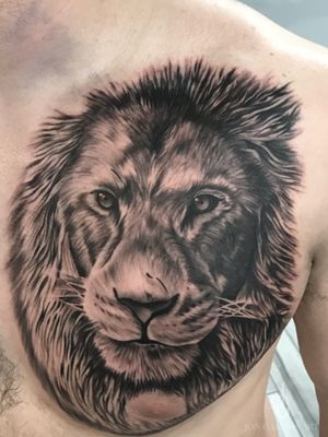 Lion chest piece in black and grey by Jon Campos 