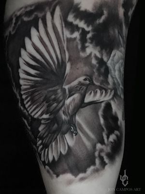 Realism dove and clouds 