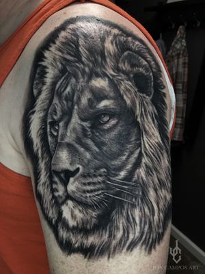 Lion black and grey tattoo by Jon campos art. Dallas, Tx. 