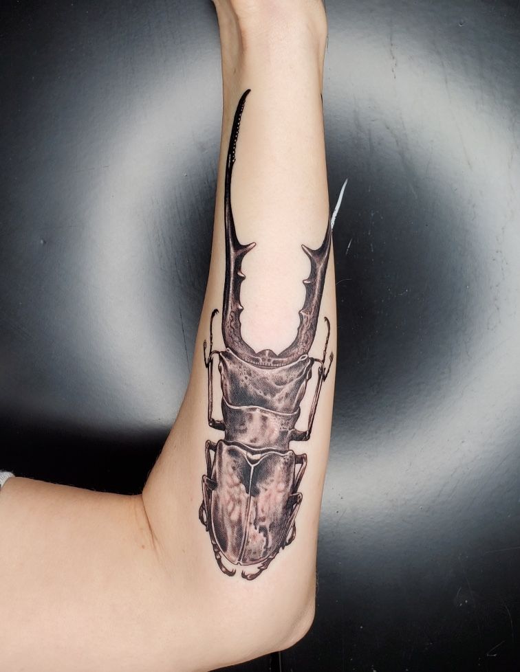Stag tattoo on hand done at xpose tattoos jaipur