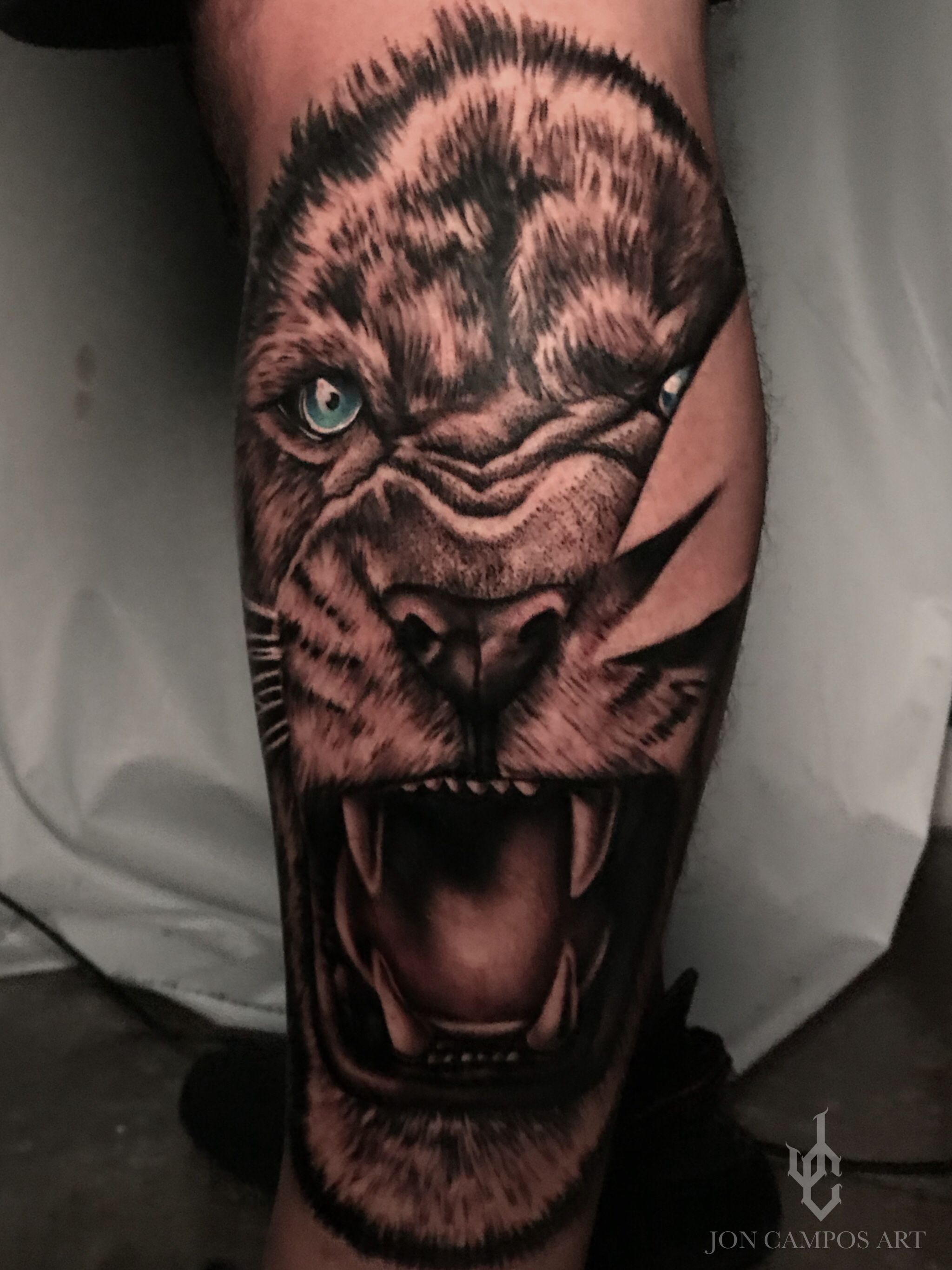 Underworld Tattoo  Lion with crown on calf first tattoo by Tamas   Facebook
