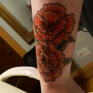 #cover #flower #carnations #orange 