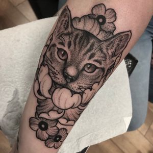 I’d like to do more blackwork/dotwork tattoos, if youd like something similar send a message to get booked inThanks Emma✌🏼#cattattoo #cattattoos #catlovers #blackworktattoo #blackworktattoos #dotwork #dotworktattoo #dotworktattoos #boldtattoos #boldwillhold #dublintattoo #dublintattooartist #dublintattoostudio #dotworkers  #dotworkersubmission