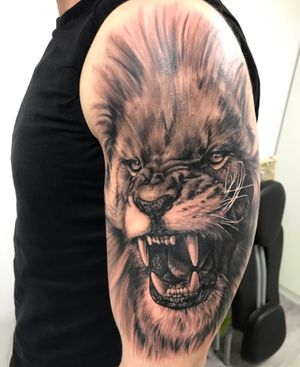The great lionDone at Ink Paradise
