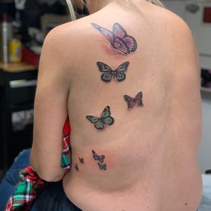 Colorful family of butterflies for each of her family members 