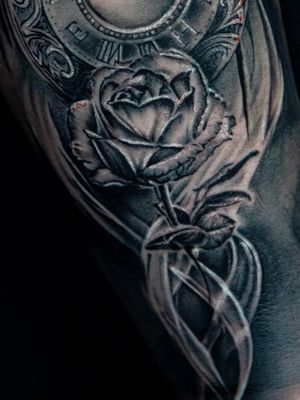 Little close up roses