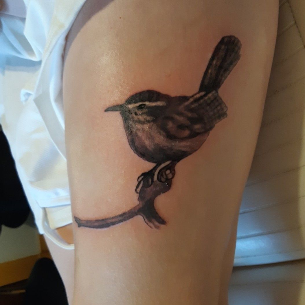 A wren and an oak branch by Hannah Evans at Faithful and True Tattoo Studio  in Fresno, CA : r/tattoos