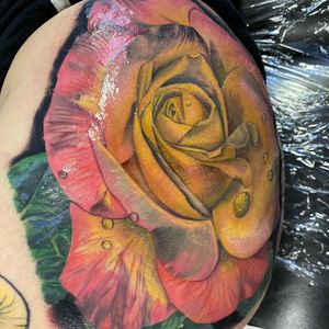 Large full color roses on the hip.