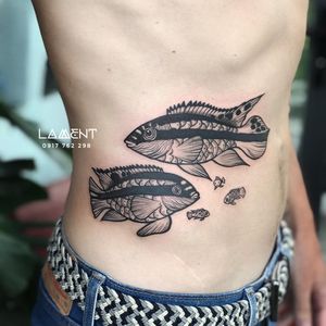 Design by Artist Vien PhuongYOU THINK IT! WE INK IT! ________________________Add  205 Trung Nu Vuong St, Danang, VietNam (3Floor)Open from 9:00 to 19:00 (Mon ~ Sun)Contact us : 0️⃣9️⃣0️⃣5️⃣0️⃣7️⃣9️⃣3️⃣0️⃣7️⃣Pinterest: https://www.pinterest.com/lamenttattoo/Page Fb: Lament TattooIG: @lamenttattoo#tattoo #waisttattoo #family #familytattoo #fishtattoo #fishfamilytattoo #tattoodo #tattoomeaning #kribensistattoo #kribensis #blackworktattoo #cutetattoo #inked #inker #uniquetattoo #tattooart 