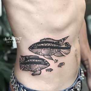Design by Artist Vien PhuongYOU THINK IT! WE INK IT! ________________________Add  205 Trung Nu Vuong St, Danang, VietNam (3Floor)Open from 9:00 to 19:00 (Mon ~ Sun)Contact us : 0️⃣9️⃣0️⃣5️⃣0️⃣7️⃣9️⃣3️⃣0️⃣7️⃣Pinterest: https://www.pinterest.com/lamenttattoo/Page Fb: Lament TattooIG: @lamenttattoo#tattoo #waisttattoo #family #familytattoo #fishtattoo #fishfamilytattoo #tattoodo #tattoomeaning #kribensistattoo #kribensis #blackworktattoo #cutetattoo #inked #inker #uniquetattoo #tattooart 