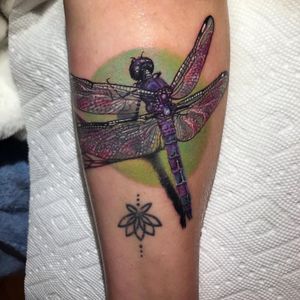 Dragonfly 👍✨