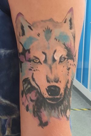 Watercoloured Wolf/Husky