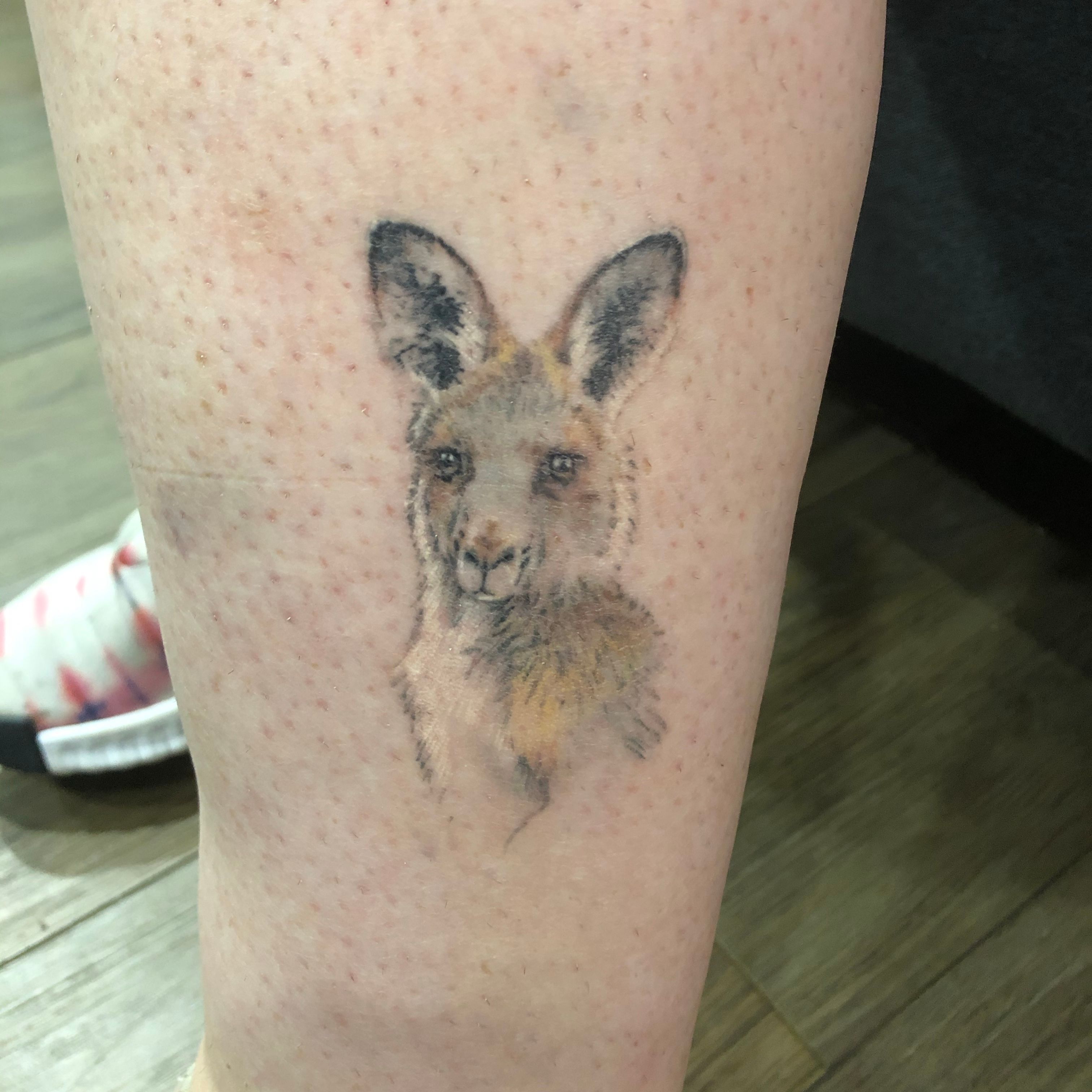 kangaroo' in Realism Tattoos • Search in +1.3M Tattoos Now • Tattoodo