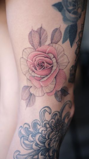 Tattoo by Nora Ink #NoraInk rose #flower #floral #fineline #pink #illustrrative