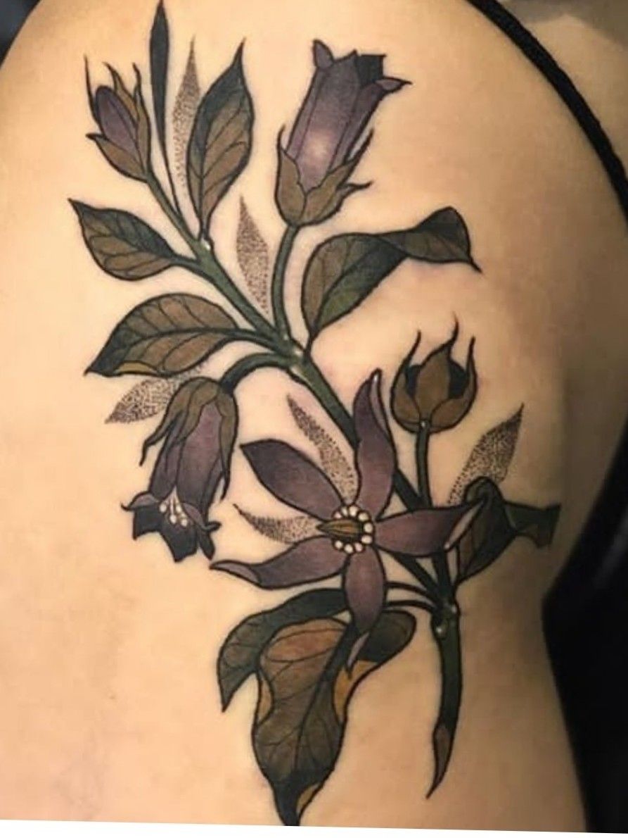 Tattoo uploaded by Grotesque Black  Deadly Nightshade  Tattoodo