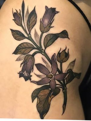 Nightshade aka belladonna by Sara Lewis of All Sacred Tattoo (she doesn't have an account)