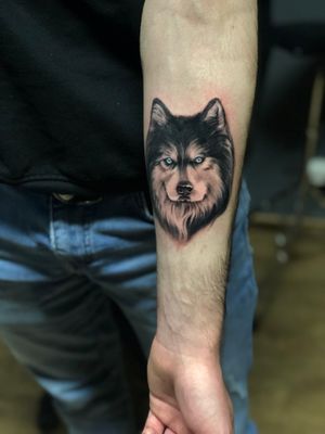 Wolf portrait tattoo