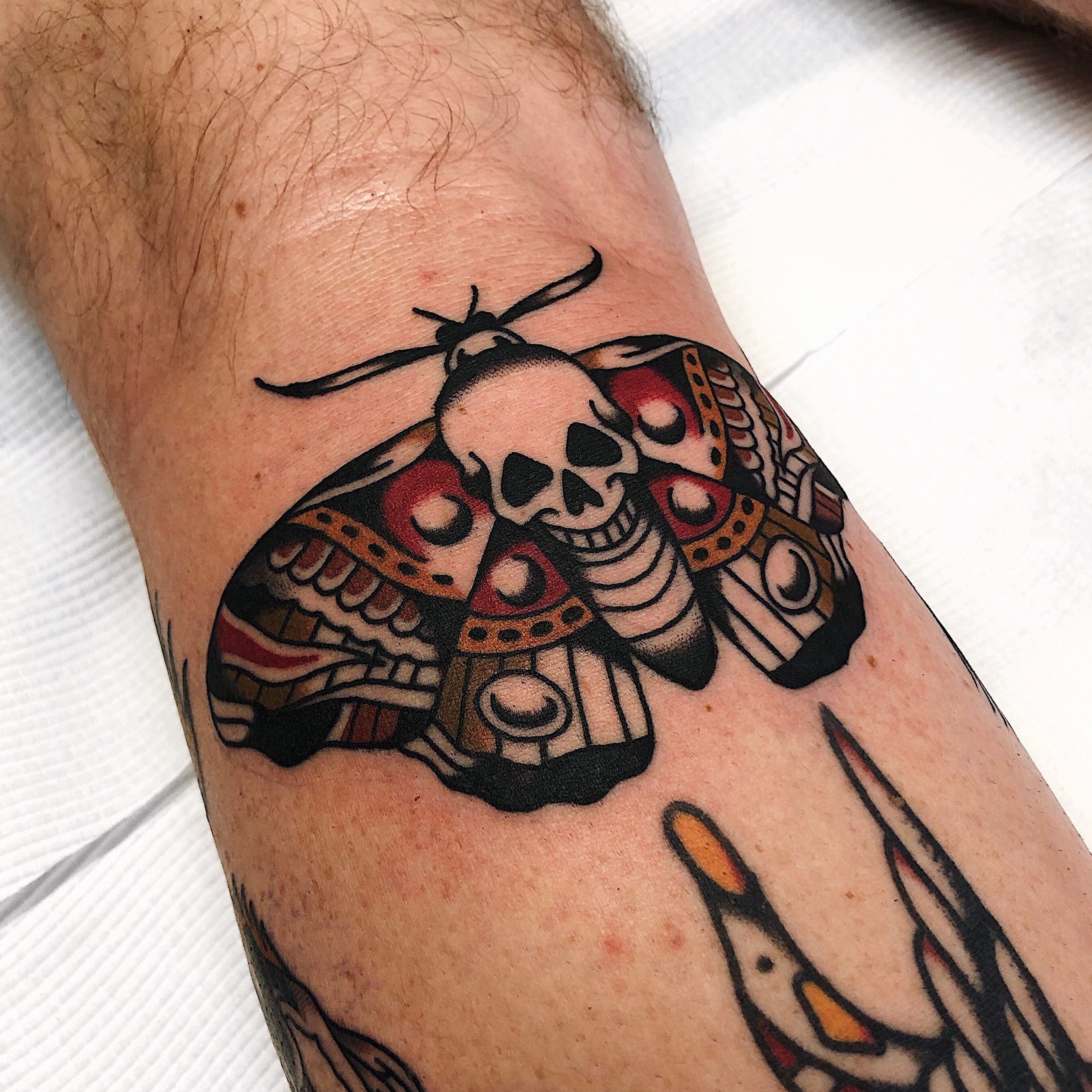 Moth chest piece I did today : r/TattooDesigns