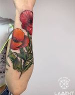 POPPIES FLOWER TATTOO DESIGN - COLOR TATTOO Flowers always make people better, happier, and more helpful; they are sunshine, food and medicine for the soul Inked by BIG BOSS Lam Vo YOU THINK IT! WE INK IT! ______________________________ Add 205 Trung Nu Vuong st,Da Nang, Viet Nam Open from 9:00 to 19:00 (Mon ~ Sun) Contact us : 0905.079.307 Mail: lamenttattoo@gmail.com IG: @lamenttattoo #tattoo #tattooer #tattooartist #ink #tattooideas #popyflower #poppiestattoo #colortattoos #colortattooidea #naturetattoo #tattoodesign #inked #uniquetattoo #tattooart #tattoodo #lamenttattoo #lamentteam #happy #wonderlust #tattooidea #art #artist #love #vietnam #hoian #danang #타투 #문신 #베트남