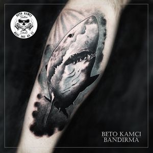 Köpek Balığı Dövmesi - Shark Tattoo