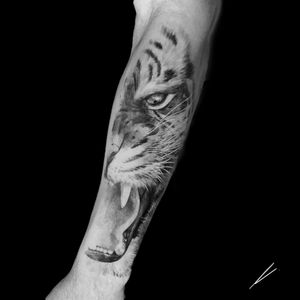 Instagram: @rusty_hst Tiger forearm piece #tiger #realism #blackandgrey 