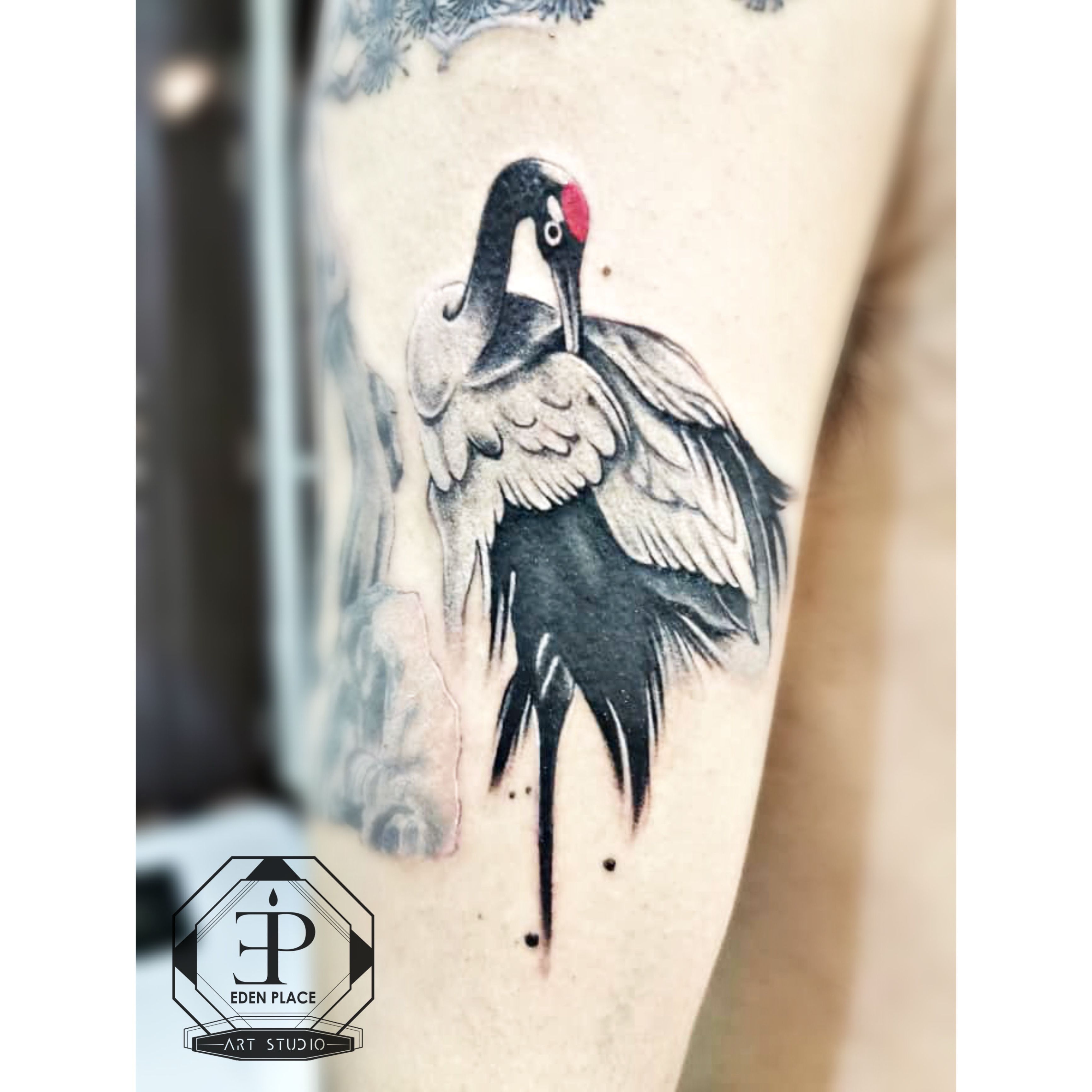 Tattoo uploaded by Pipe  中國水墨畫風 丹頂鶴Chinese Style RedCrowned Crane   Tattoodo