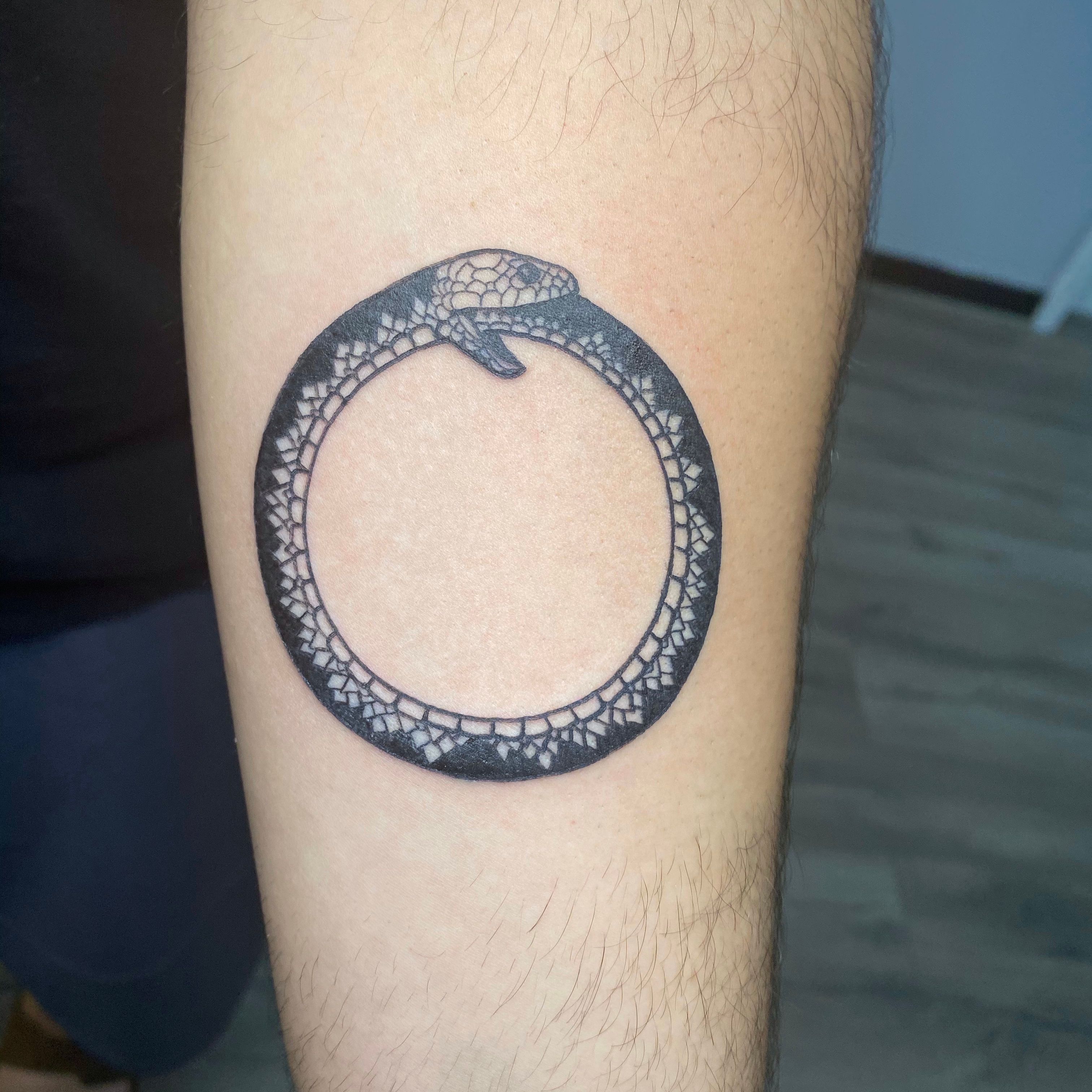 Dotwork ouroboros tattoo hand poked on the inner