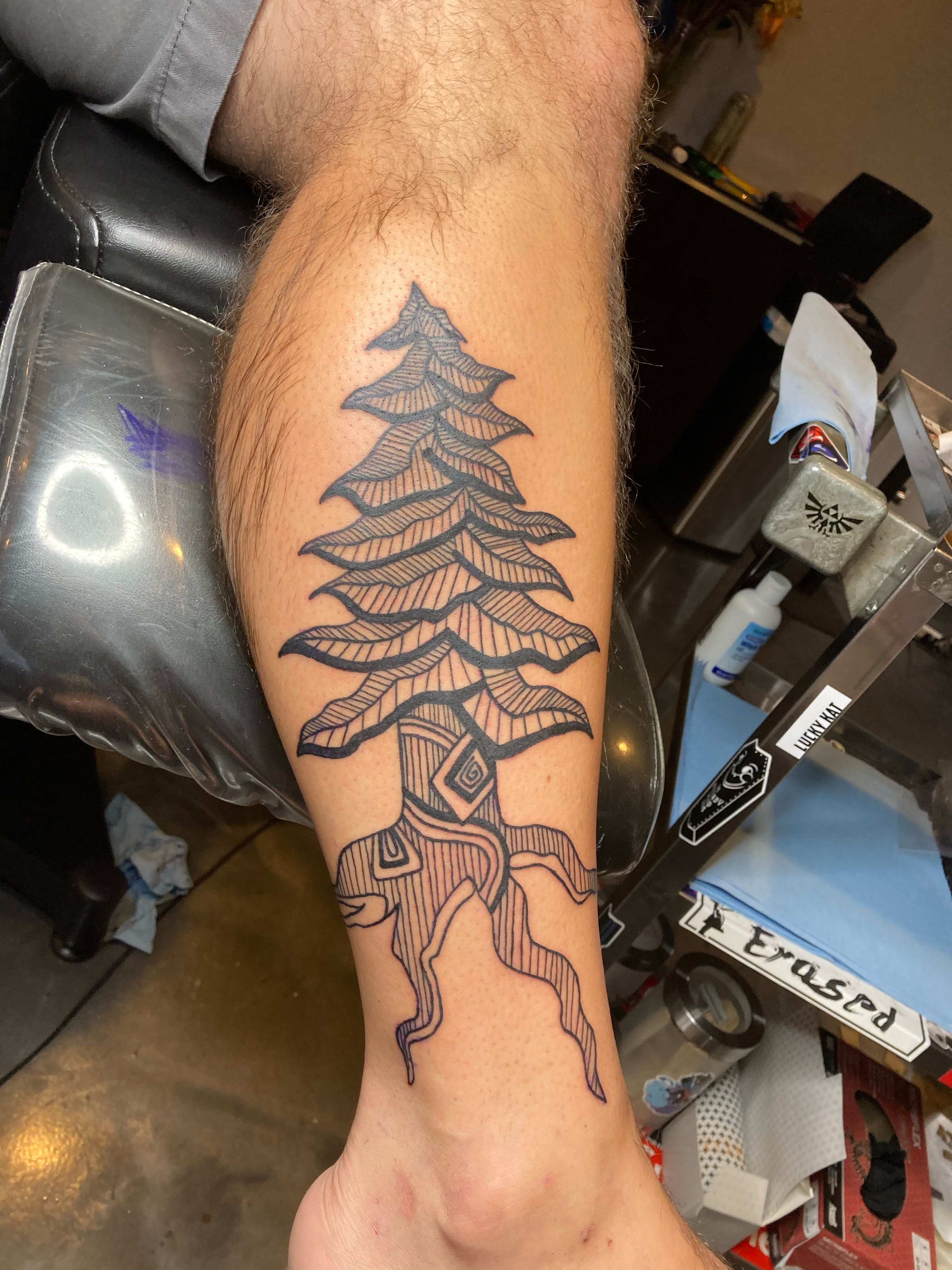 Cedar Tree Tattoo Idea  Tree tattoo Cedar trees Tattoos
