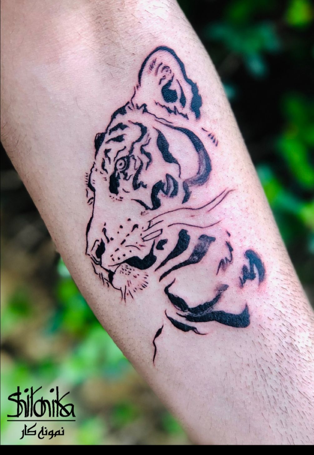 Red Chinese Tiger Tattoo Majestic Asian Predator Stock Illustration -  Download Image Now - 2022, Animal, Animal Body Part - iStock