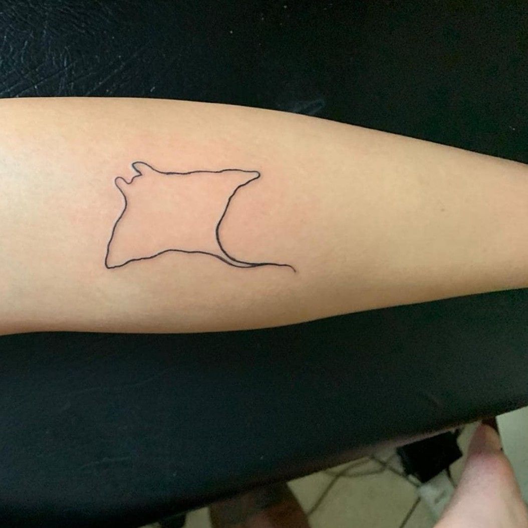 fine line manta ray tattooTikTok Search