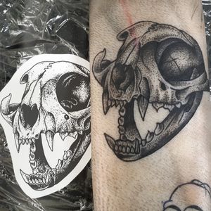 Cat skull tattoo on pigskin 