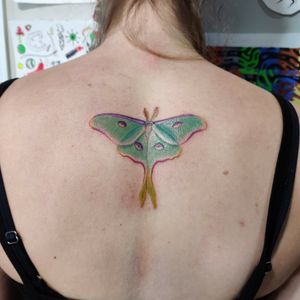 Fun lunar moth today, lined and shaded with a 3rl. 