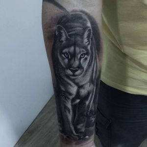 Get a stunning black and gray leopard tattoo on your forearm by tattoo artist Marcel Oliveira. Bring the wild to life with this detailed design.