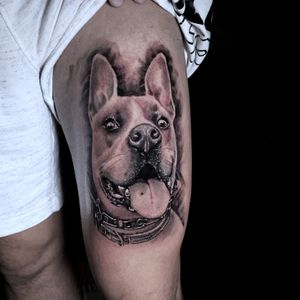Experience the artistry of Marcel Oliveira with this intricate blackwork and illustrative style dog tattoo, beautifully rendered on your upper leg.