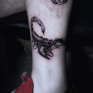 Experience the realism and illustrative style of Marcel Oliveira's unique scorpion design on your ankle.