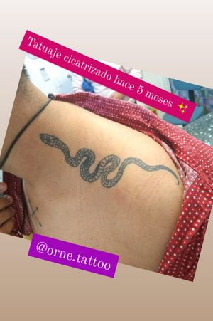 Snake neck healed tattoo