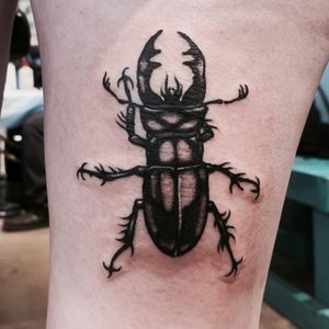 stag beetle on back of right thigh