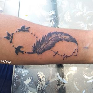 Feather and birds 