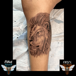 Lion Tattoo#lion
