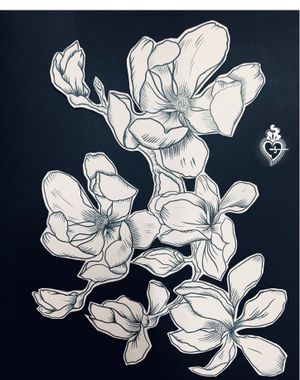 Las flores de Magnolia en la tradición oriental representan la nobleza, la dignidad y la perseverancia. En el Lejano Oriente, donde eran propiedad exclusiva del Emperador, cuando  entregaba una Magnolia a uno de sus súbditos se convertía en un gesto de respeto lleno de significado.Debido a su impresionante altura y el enorme tamaño de sus flores, evoca la magnificencia y la perseverancia.El significado de la flor del magnolio cambia en función del país ya que en China significa nobleza de espíritu y pureza mientras que en Japón significa dulzura y amor por la naturaleza.