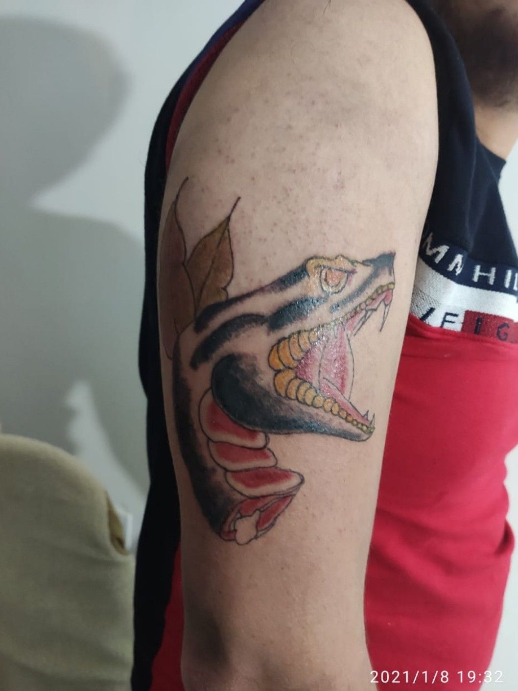 Tattoo Uploaded By Enrique Hernandez Snake Head Tattoodo