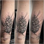 #tattoo #tatouage #pinecone #pineconetattoo #pive #pivetattoo #pommedepin #pommedepintattoo #lausanne #tattoolausanne #lausannetattoo #dot #dotwork #dotworktattoo #dotworkers #stippling #stipple #stippletattoo #fann_ink 