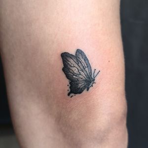 Butterfly on knee