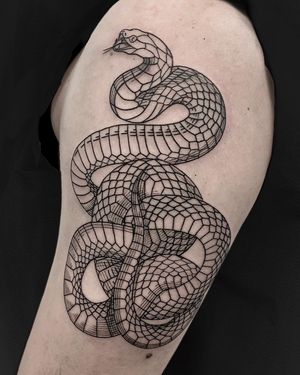 Valencia tattoo#snake #snaketattoo #fineline#engravingtattoo #engravers#engraverstattoo #etchingtattoo #etching #grabado #grabadotattoo  #gravure #gravuretattoo #gravura #татуировки #에칭 #Gravur