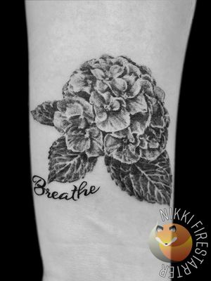 Hydrangeas in a soft graywash. . . . . #hydgrangea #HydrangeaTattoo #flowers #floral #FlowerTattoo #FloralTattoo #graywash #BlackAndGray #grayscale #realistic #script #tattoos #BodyArt #BodyMod #modification #ink #art #QueerArtist #QueerTattooist #MnArtist #MnTattoo #VisualArt #TattooArt #TattooDesign #TheTattooedLady #TattooedLadyMN #NikkiFirestarter #FirestarterTattoos #firestarter #MinnesotaTattoo