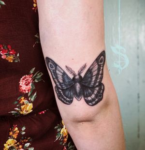 Realism moth tattoo 